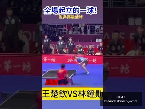立冬养生指,权威专家深,度解析,九游会官网,九游会J9,九游会娱乐,九游会互动,九游会平台