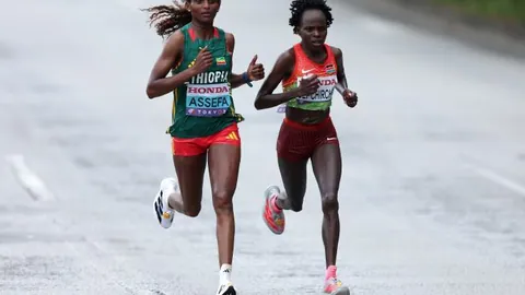 亚冬会志愿者用冰爪助力，原创手册彰显才智风采